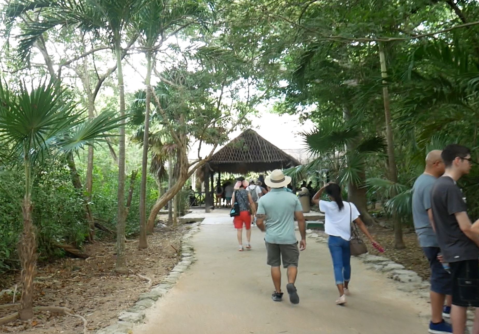 トゥルム遺跡入口のジャングル